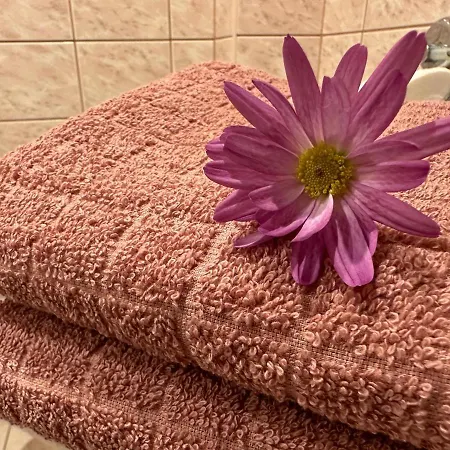 Center Of Apartments, Bus Station 1min, Airport 5 Min Lägenhet Tallinn